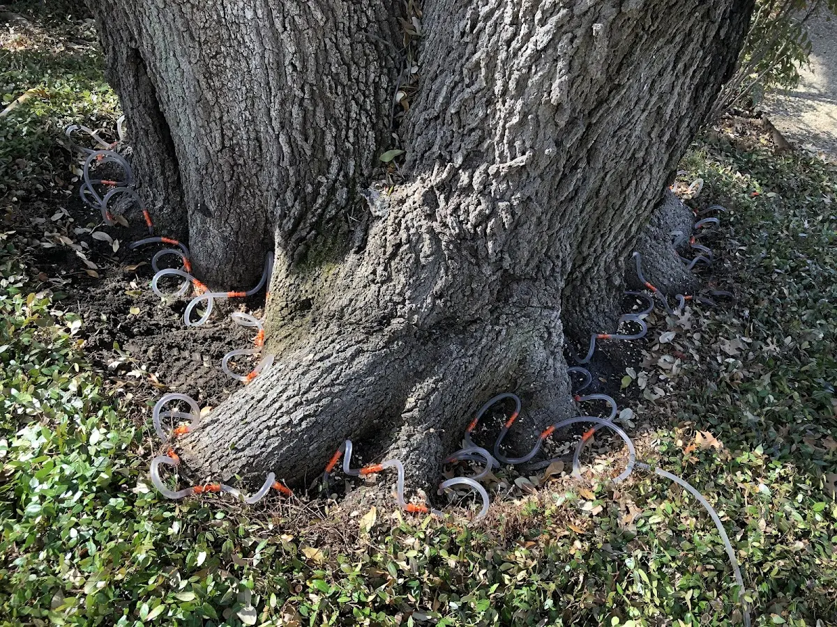 Detailed Shrub and Hedge Trimming job site in Higgins