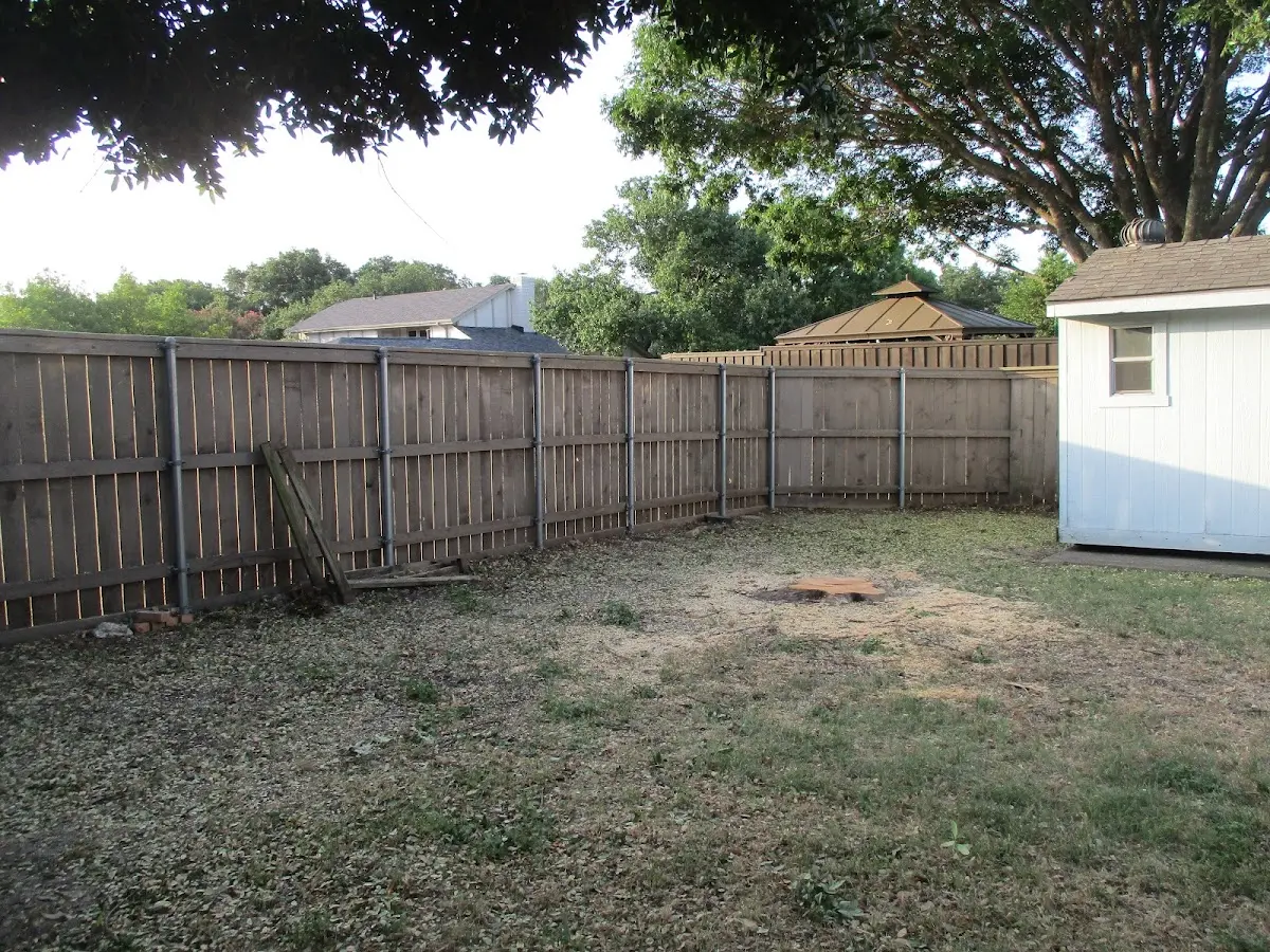 Cleared yard after professional tree removal in Higgins